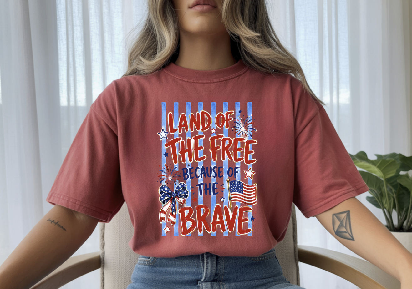 Land of the Free Because of the Brave DTF Transfer