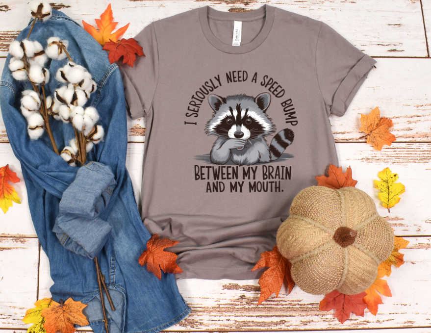 I seriously need a speed bump between my brain and mouth racoon