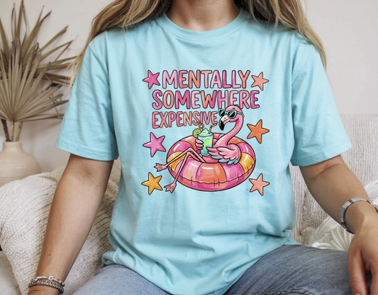 Mentally Somewhere Expensive Flamingo DTF Transfer