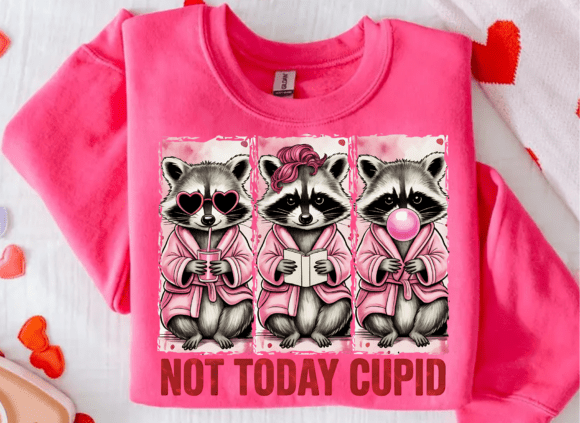 Not Today Cupid Racoon DTF Transfer