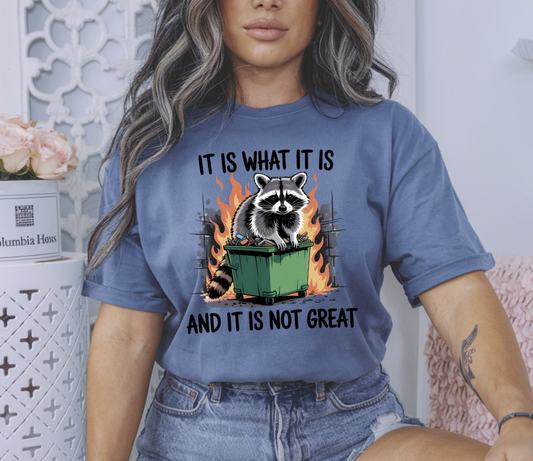 It is what it is and it is not great Racoon Dumpster Fire DTF transfer