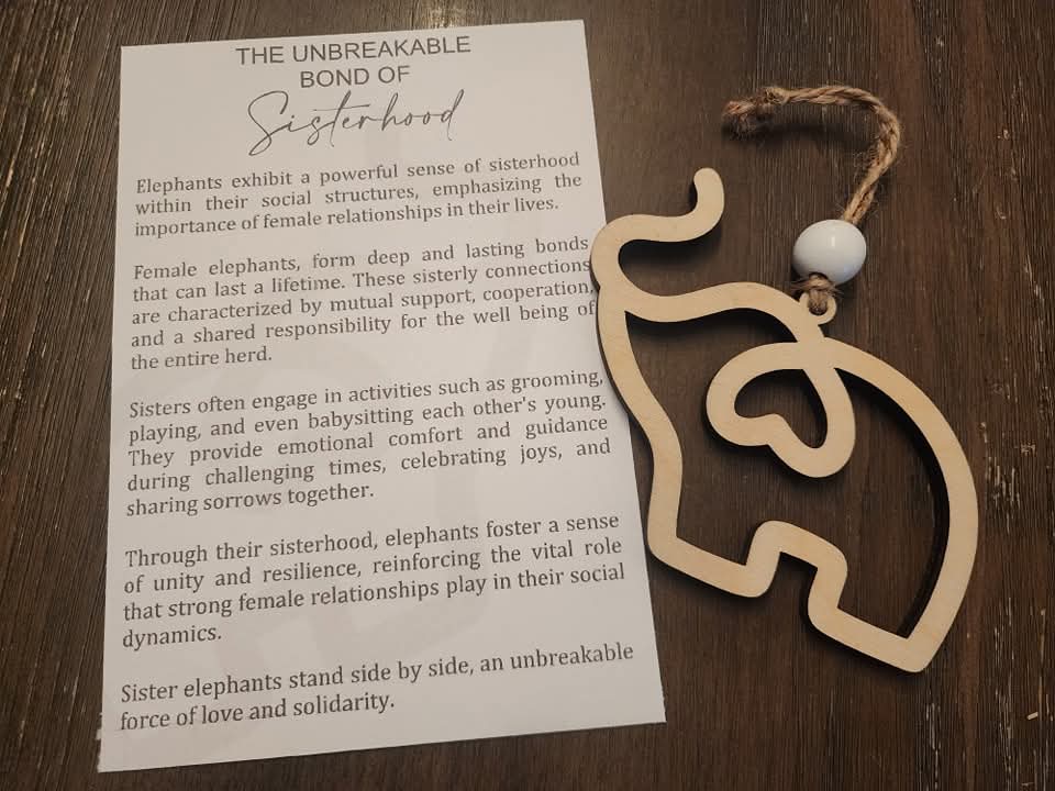 The Unbreakable Bond of Sisterhood – Elephant Ornament Gift